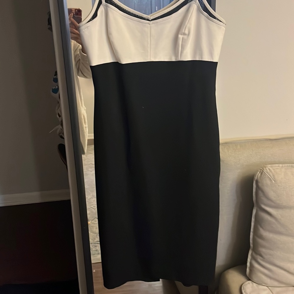 Etcetera by Carlisle. Size 4 adjustable strap and adjustable back zip Dress .